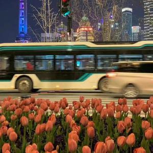 农村诱奷小箩莉H合集
