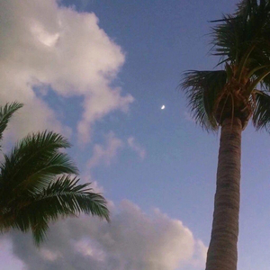 农村诱奷小箩莉H合集
